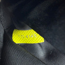 Load image into Gallery viewer, Louis Vuitton Taigarama Outdoor Bumbag