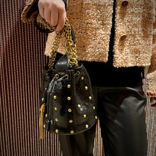 Load image into Gallery viewer, Saint Laurent Snakeskin Studded Anja Bucket Bag