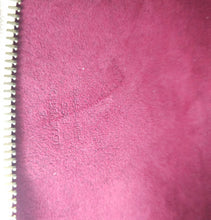 Load image into Gallery viewer, Louis Vuitton Multicolor Shirley Shoulder Bag TWS