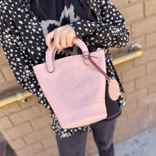 Load image into Gallery viewer, Moynat Fleur Mini Leather Bucket Bag