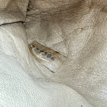 Load image into Gallery viewer, Chanel Limited Edition Crystal CC Logo Shoulder Bag