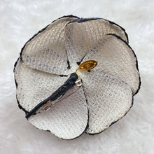 Load image into Gallery viewer, CHANEL White and Black Camellia Brooch