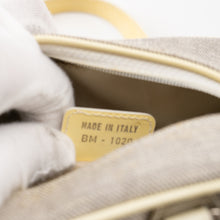 Load image into Gallery viewer, Christian Dior mini grey canvas handbag TSW pop