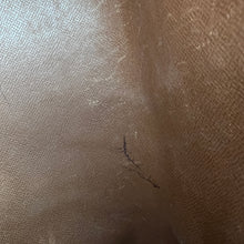 Load image into Gallery viewer, Louis Vuitton Papillon Monogram Bag