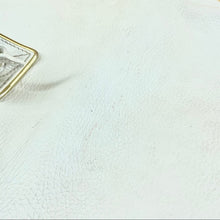 Load image into Gallery viewer, ALEXANDER MCQUEEN leather clutch bag