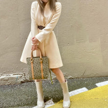Load image into Gallery viewer, DIOR Trotter tote bag handbag