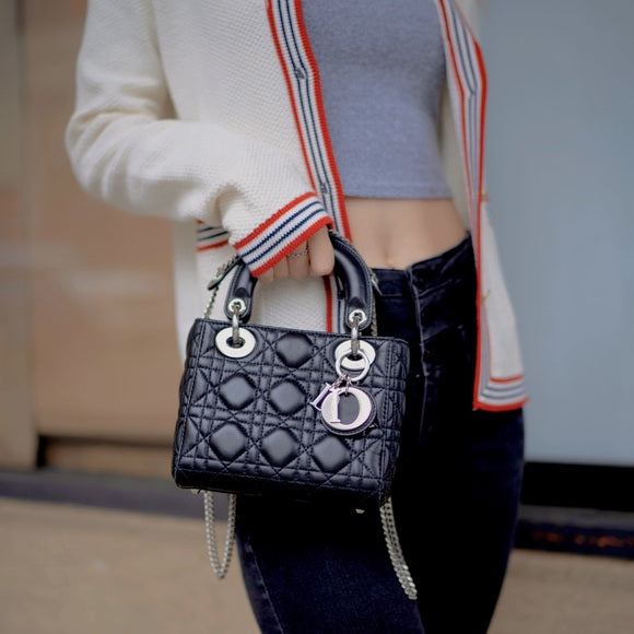 MINI LADY DIOR Bag – Sheer Room