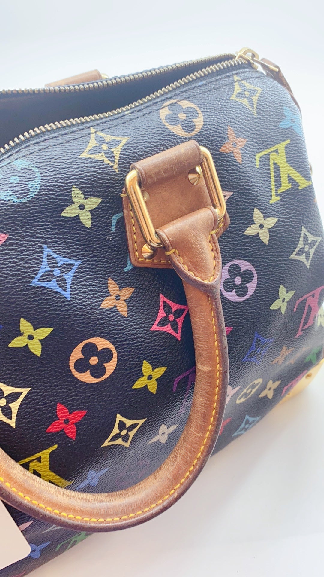 Louis Vuitton Multicolor Monogram Speedy 30 Handbag – Sheer Room