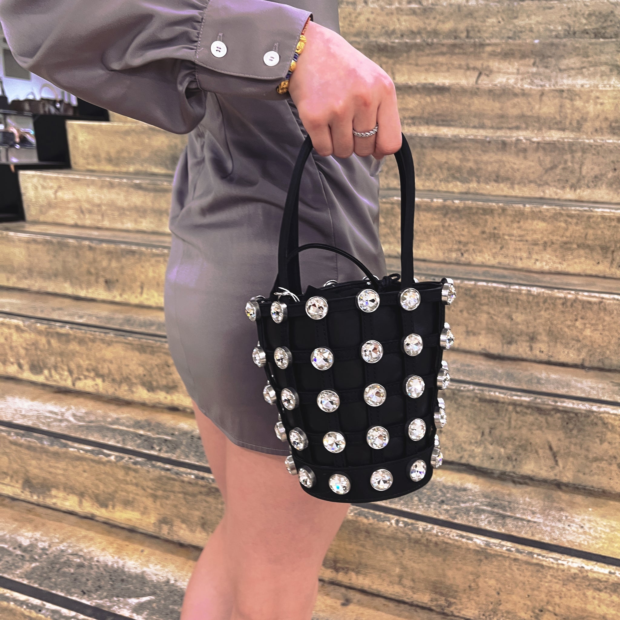 Alexander Wang Leather Crystal Roxy Mini Bucket bag – Sheer Room