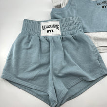 Load image into Gallery viewer, Alexander Wang sport shorts
